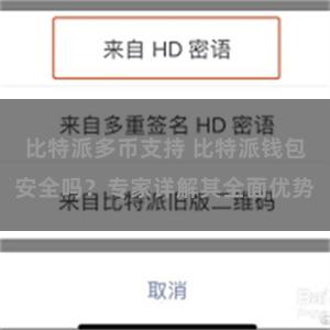 比特派多币支持 比特派钱包安全吗？专家详解其全面优势