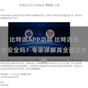 比特派APP功能 比特派钱包安全吗？专家详解其全面优势