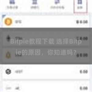 Bitpie教程下载 选择Bitpie的原因，你知道吗？