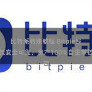 比特派转账教程 Bitpie钱包安全可靠，资产100%自主掌控