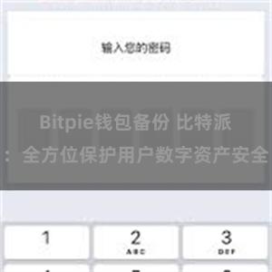 Bitpie钱包备份 比特派：全方位保护用户数字资产安全