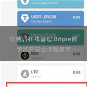 比特派在线管理 Bitpie数字资产安全保障指南