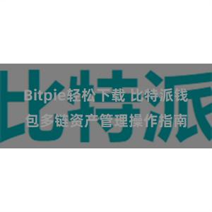 Bitpie轻松下载 比特派钱包多链资产管理操作指南