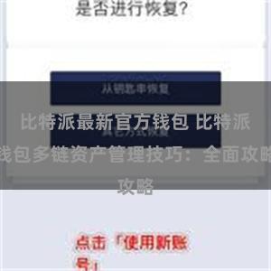 比特派最新官方钱包 比特派钱包多链资产管理技巧：全面攻略