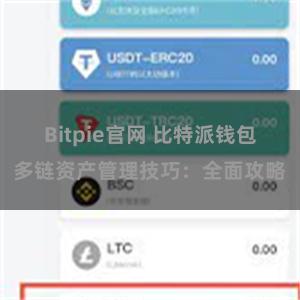 Bitpie官网 比特派钱包多链资产管理技巧：全面攻略