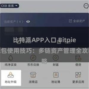 比特派APP入口 Bitpie钱包使用技巧：多链资产管理全攻略