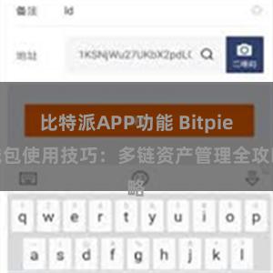 比特派APP功能 Bitpie钱包使用技巧：多链资产管理全攻略