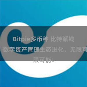 Bitpie多币种 比特派钱包：数字资产管理生态进化，无限可能！