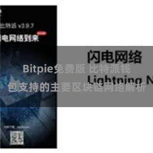 Bitpie免费版 比特派钱包支持的主要区块链网络解析