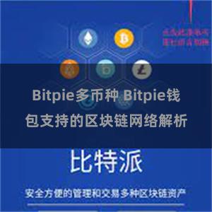 Bitpie多币种 Bitpie钱包支持的区块链网络解析