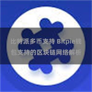 比特派多币支持 Bitpie钱包支持的区块链网络解析