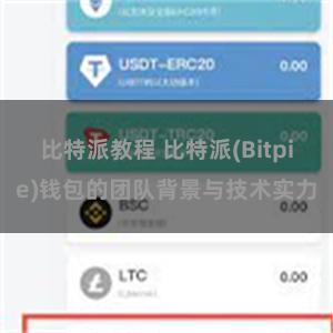 比特派教程 比特派(Bitpie)钱包的团队背景与技术实力