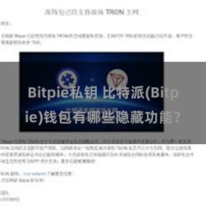 Bitpie私钥 比特派(Bitpie)钱包有哪些隐藏功能？