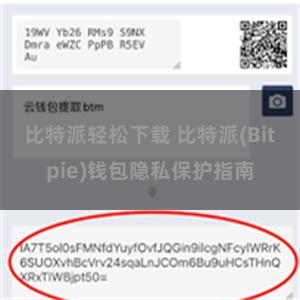 比特派轻松下载 比特派(Bitpie)钱包隐私保护指南