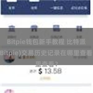 Bitpie钱包新手教程 比特派(Bitpie)交易历史记录在哪里查看？