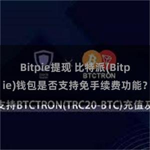 Bitpie提现 比特派(Bitpie)钱包是否支持免手续费功能？