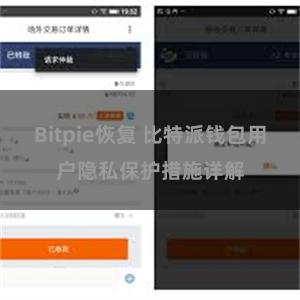 Bitpie恢复 比特派钱包用户隐私保护措施详解