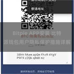 Bitpie APP安装 比特派钱包用户隐私保护措施详解