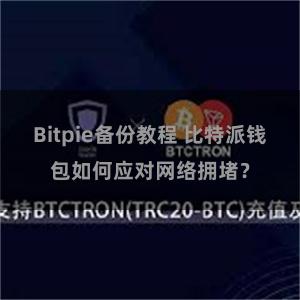 Bitpie备份教程 比特派钱包如何应对网络拥堵？