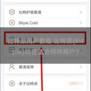 比特派用户教程 比特派(Bitpie)钱包适合何种用户？