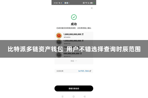 比特派多链资产钱包  用户不错选择查询时辰范围