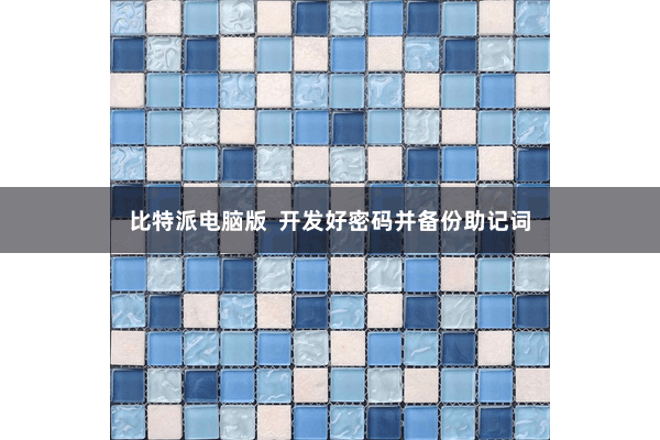 比特派电脑版  开发好密码并备份助记词