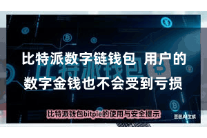 比特派数字链钱包  用户的数字金钱也不会受到亏损