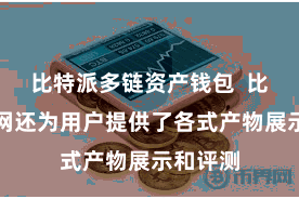 比特派多链资产钱包  比特派官网还为用户提供了各式产物展示和评测