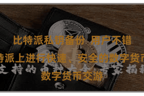 比特派私钥备份  用户不错在比特派上进行快速、安全的数字货币交游