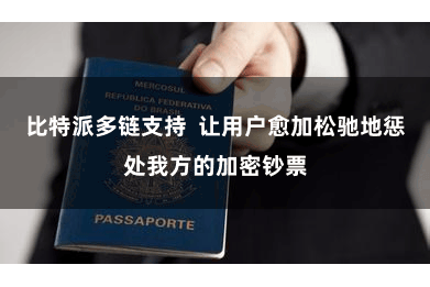 比特派多链支持  让用户愈加松驰地惩处我方的加密钞票